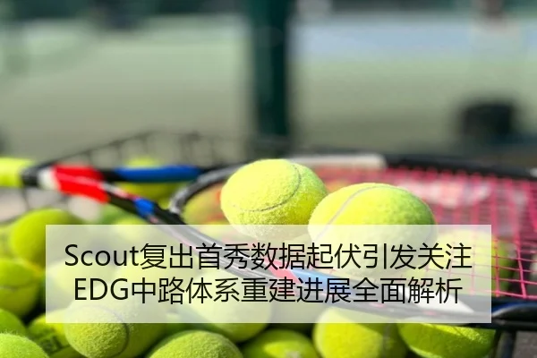 Scout复出首秀数据起伏引发关注 EDG中路体系重建进展全面解析